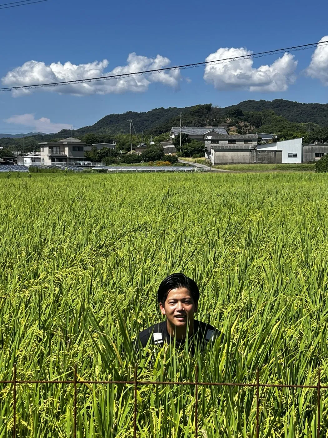 稲の中から顔を出す代表